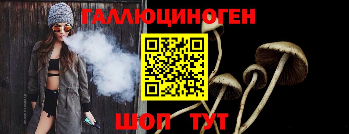Псилоцибиновые грибы MAGIC MUSHROOMS  Галлюциногенные грибы ЛСД  Вход с VPN  где продают   Майкоп 