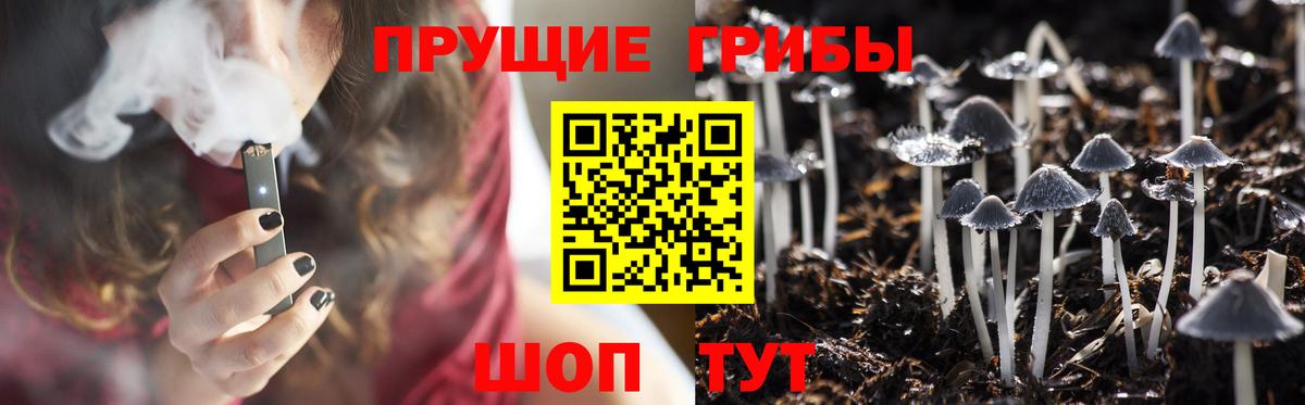 Галлюциногенные грибы Cubensis Майкоп