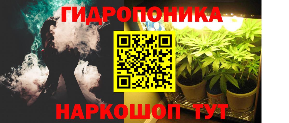 Бошки Шишки план Майкоп